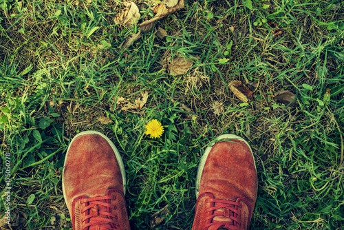 Imagen cenital de zapatillas de deporte naranjas sobre césped y una pequeña flor amarilla.