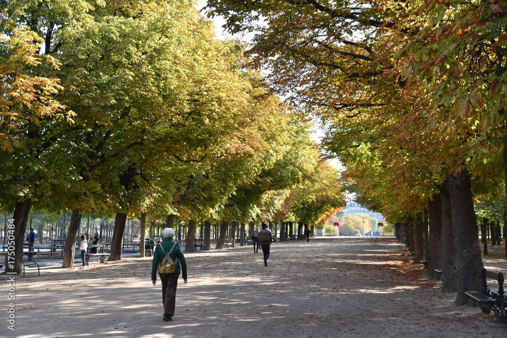 Allée du Jardin du Luxembourg en automne à Paris, France
