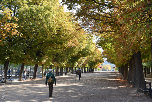 Allée du Jardin du Luxembourg en automne à Paris, France © JFBRUNEAU