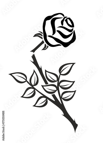 rose0210b