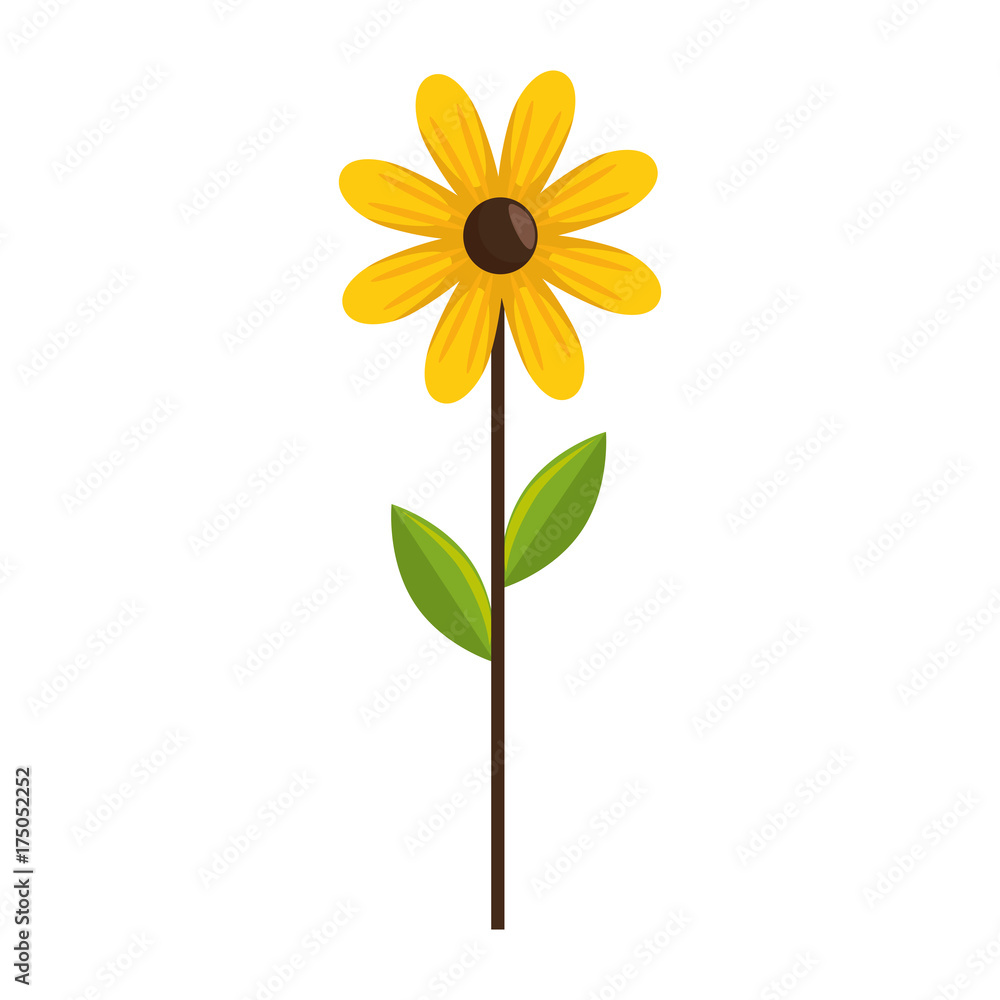 Obraz premium beauty sunflower isolated icon