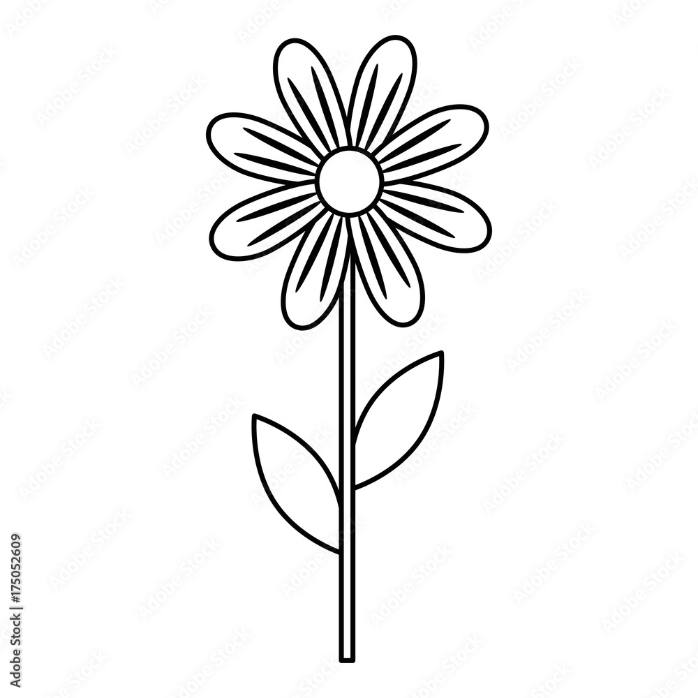 Fototapeta premium beauty sunflower isolated icon