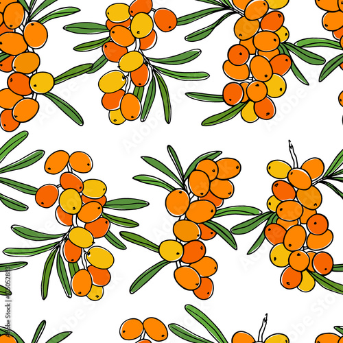 Hand drawn sea buckthorn pattern