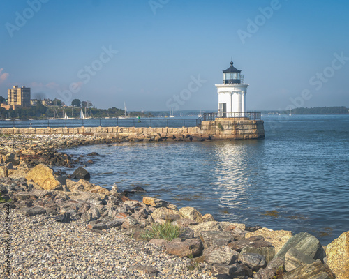 Wallpaper Mural Bug Light Torontodigital.ca