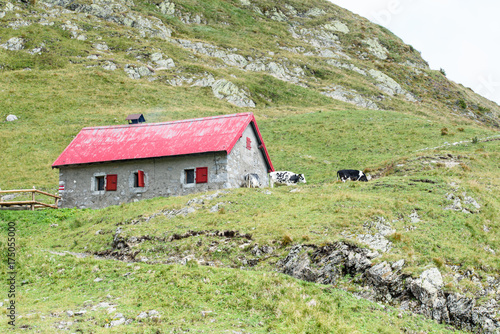 Casere and mountain pigeons in the mountains of Friuli photo