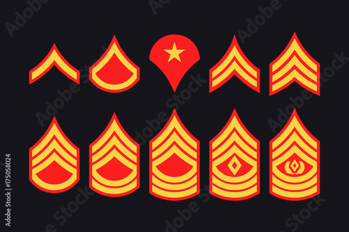 Military Ranks Stripes and Chevrons. Vector Set Army Insignia