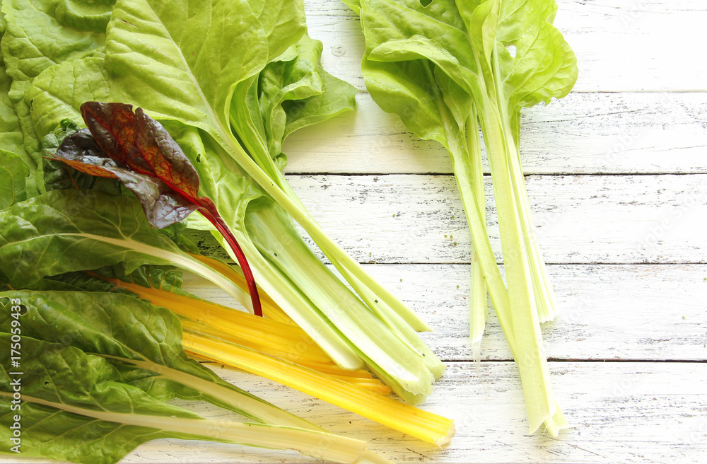 Mangold Blattmangold Stielmangold verschiedene Sorten Arten Tisch ...