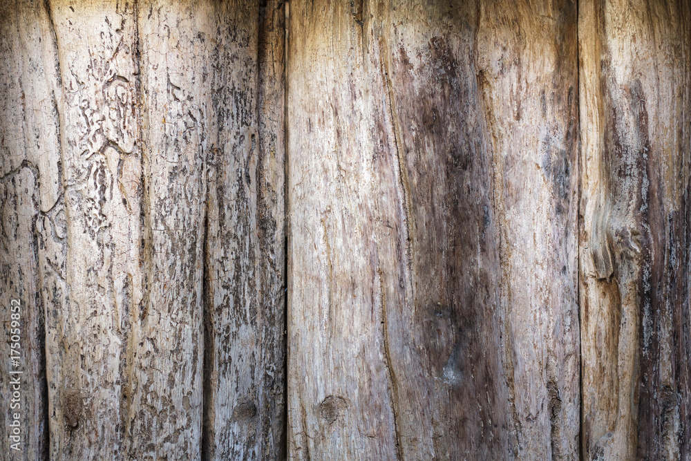 Wood texture background for interior design business. exterior decoration and industrial construction idea concept design. Wood texture background for interior design business. exterior decoration and industrial construction idea concept design.
