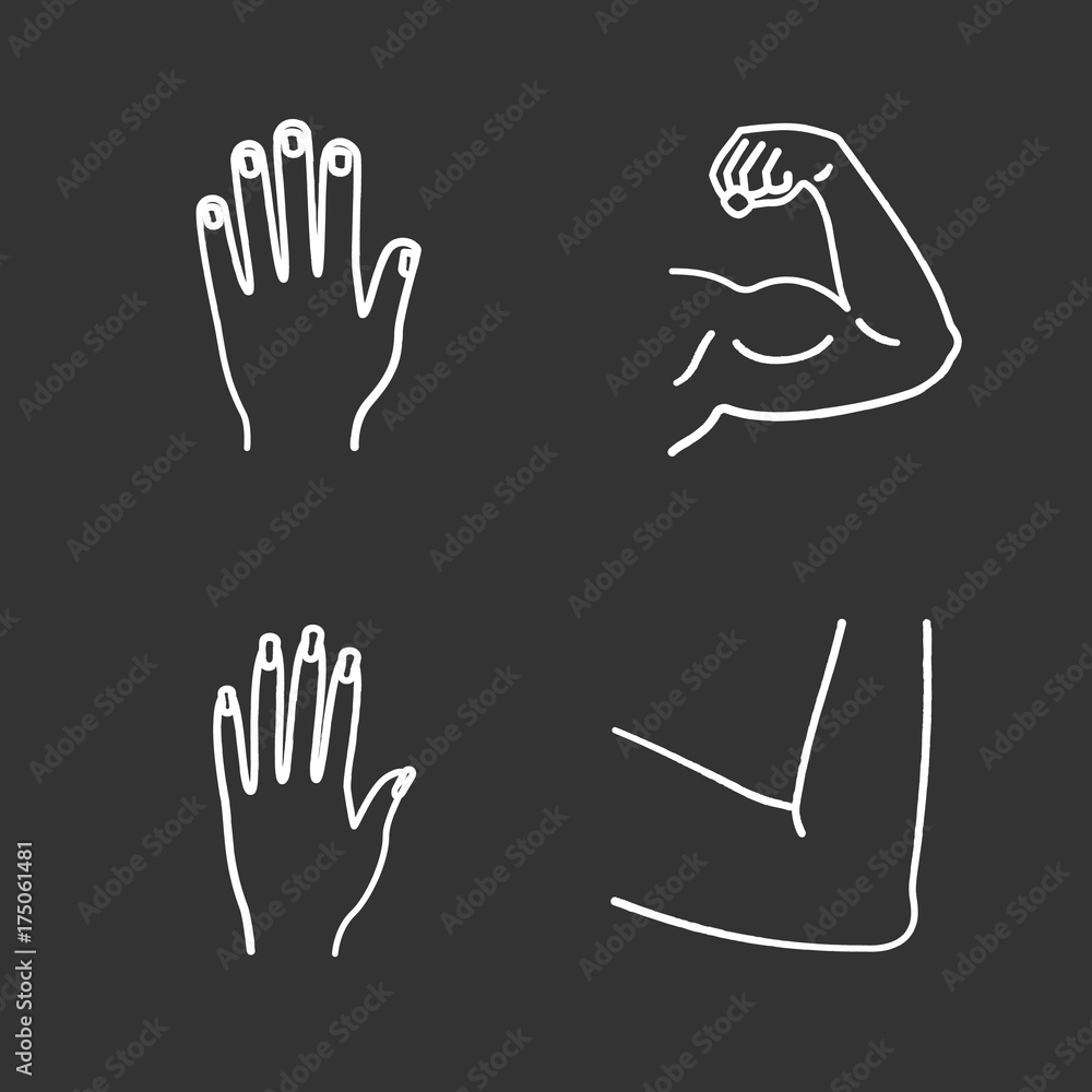 Obraz premium Human body parts chalk icons set