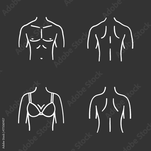 Body parts chalk icons set