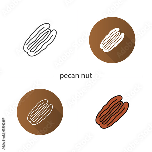 Pecan nut icon