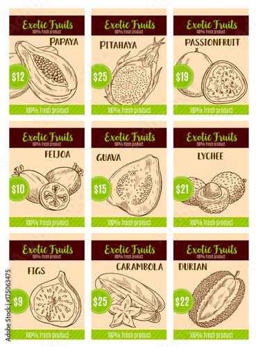 Vector price card sketch of tropical exotic fruits