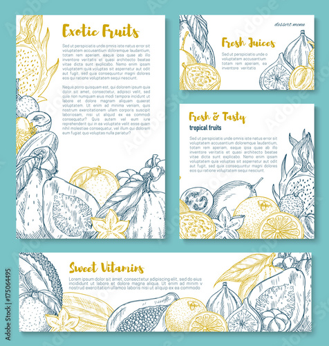 Vector sketch posters of tropical exotic fruits