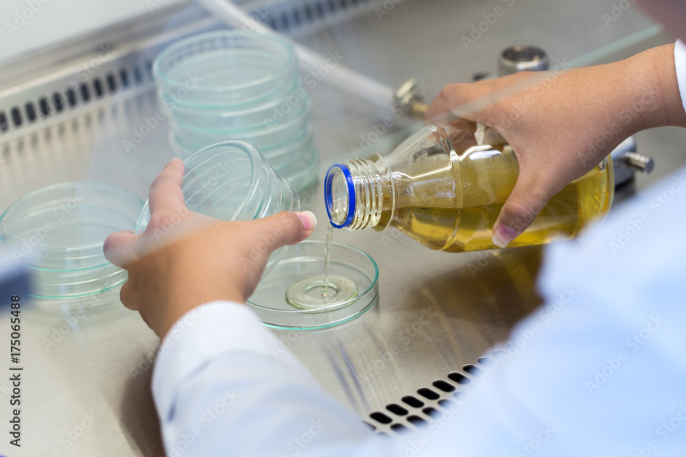 Scientist performing microbial tests in Biological safety lab. Stock Photo Adobe Stock