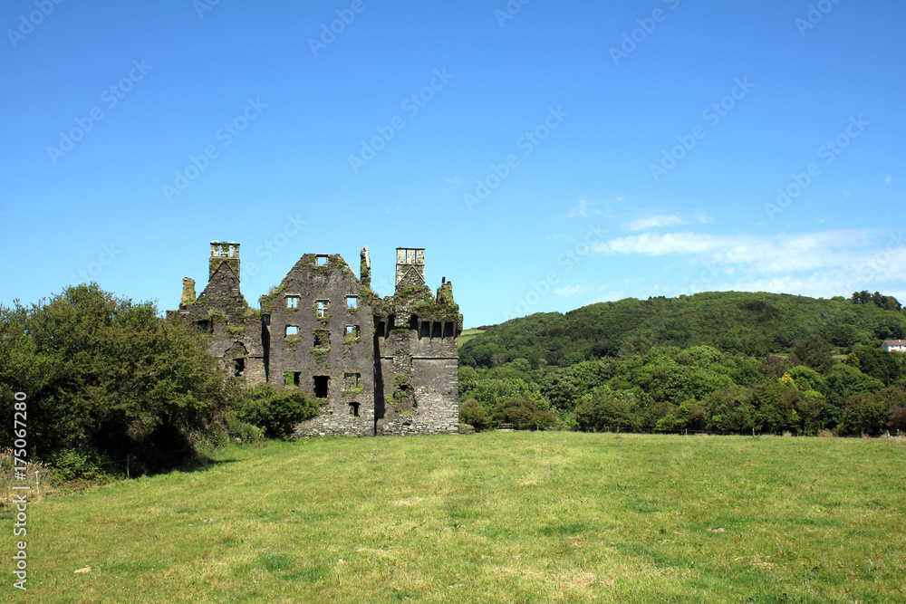 Coppinger's Court Castle, West Cork Ireland