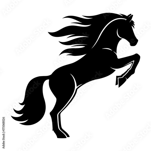 Black horse.