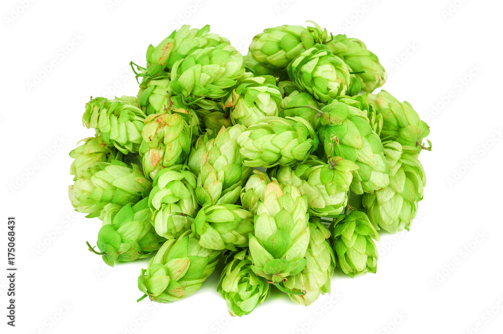 heap of lush hop heap of lush hop
