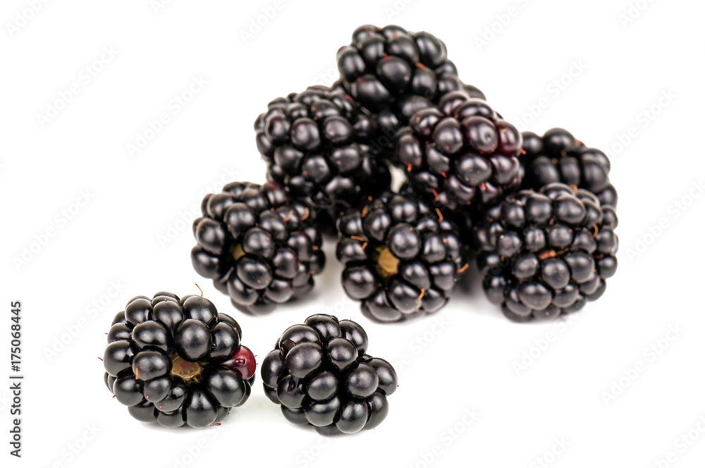 heap of ripe blackberry isolated heap of ripe blackberry isolated
