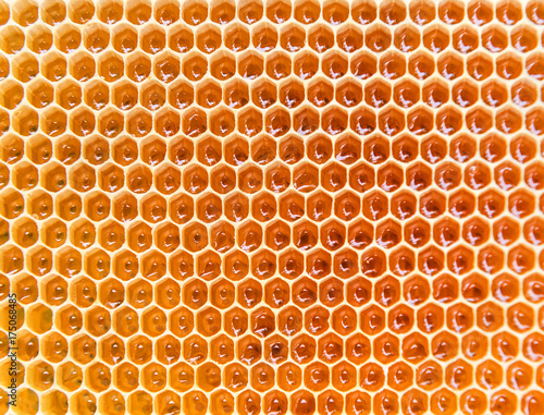 honeycomb as a texture