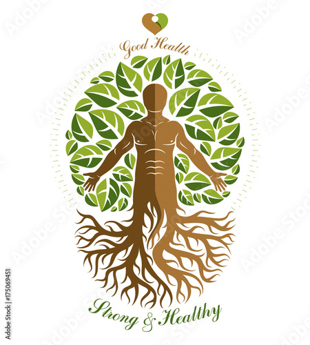 Vector illustration of athletic man depicted as continuation of tree with roots. Strong heart is good health, wellness center abstraction.