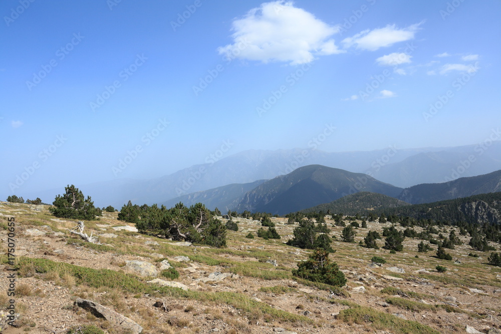 Fototapeta premium landscape in Pyrenees orientales, Conflent region of Roussillon in South of France