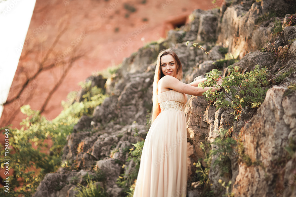 Attractive young woman in long dress standing on the rocks Attractive young woman in long dress standing on the rocks