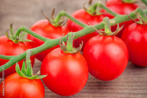 Wallpaper Mural ripe cherry tomato twig Torontodigital.ca
