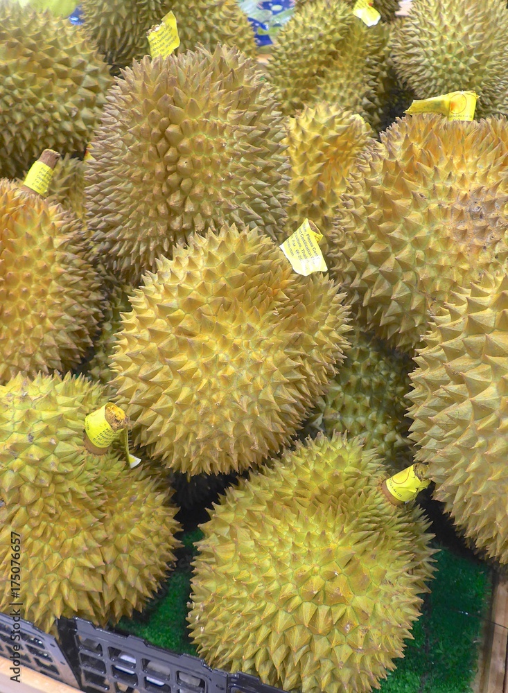 Durian fruit background closeup at the market Durian fruit background closeup at the market