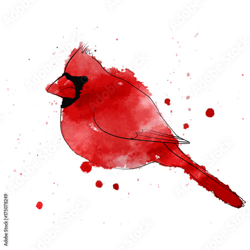 Winter bird Cardinal. Watercolors