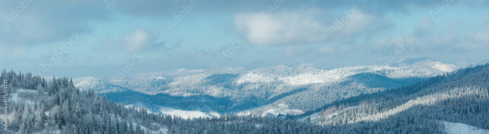 Obraz premium Winter Carpathian Mountains landscape.