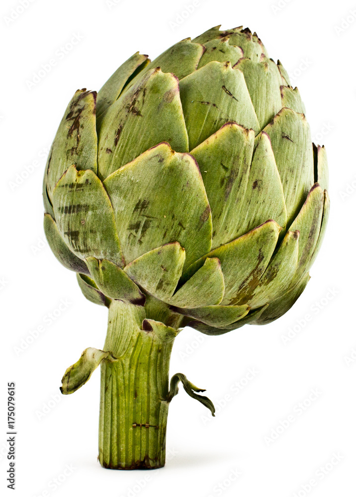 Fototapeta premium Artichoke