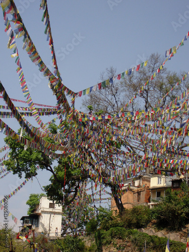 Monkey Tempel_01