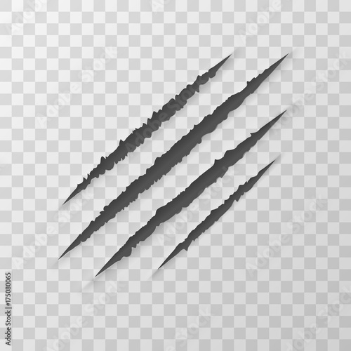 Claws Animal Scratches