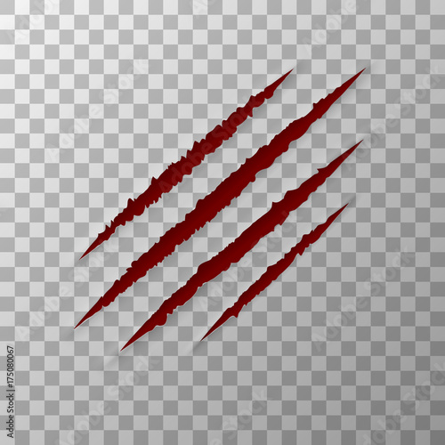 Fotografia Claws Animal Scratches