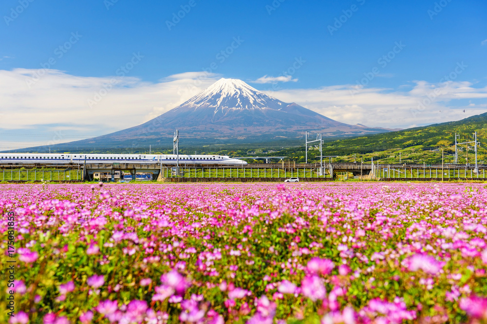 Fototapeta premium Shinkansen i samochód przejeżdżają przez Mt. Fuji