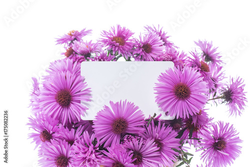 bouquet of beautiful purple chrysanthemums