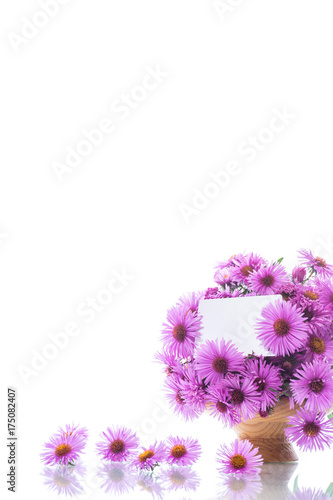 bouquet of beautiful purple chrysanthemums