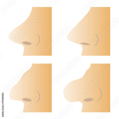 Set of Different Human Nose