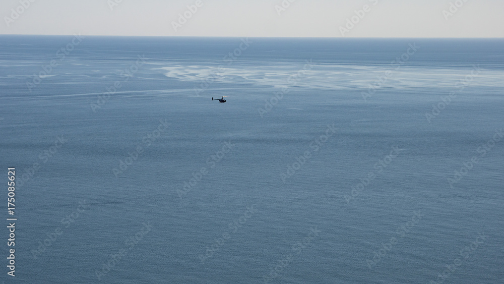 Fototapeta premium the wind-fly flies away over the sea