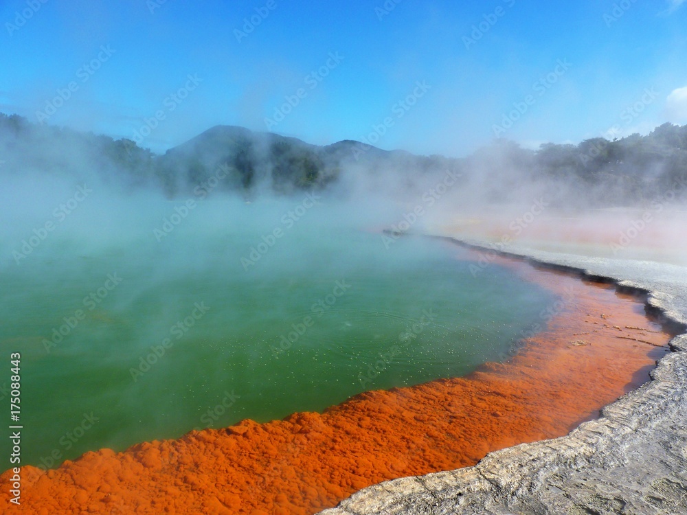 Neuseeland - Thermal Wonderland - Champagner Pool