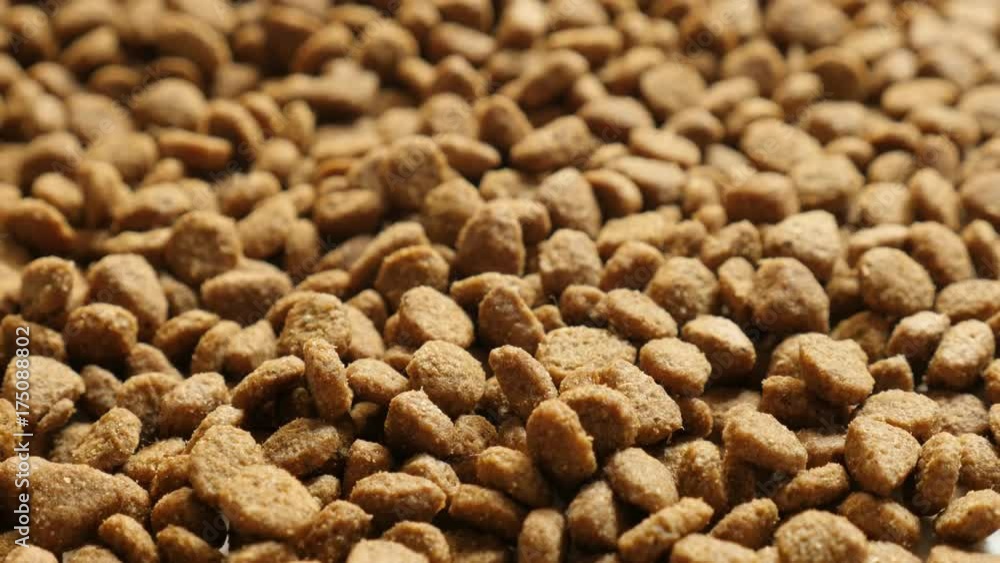 Close-up pile of cat or dog pellet meal footage - Brown pet dry food slow tilt video Close-up pile of cat or dog pellet meal footage - Brown pet dry food slow tilt video