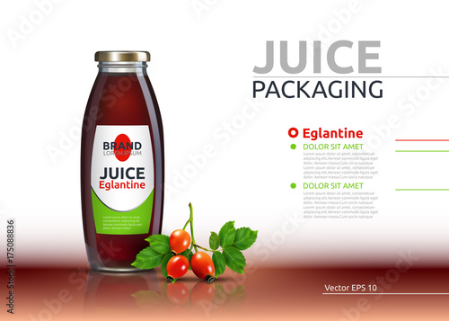 Dog rose, Rose hip or Eglantine drink. Juice realistic bottle Vector mock up....