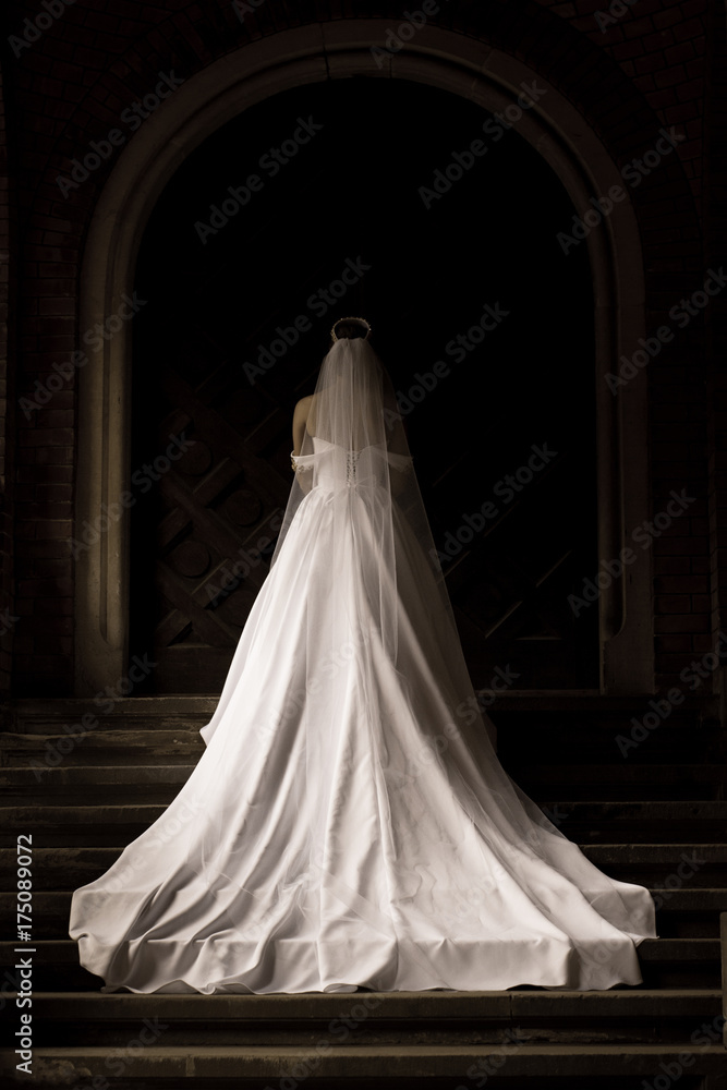 Bride in white dress. A view of the back of a bride in white dress. Bride in white dress. A view of the back of a bride in white dress.