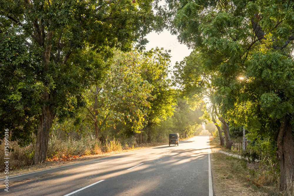 Tuktuk on the country road running through the jungle of Sri Lanka at sunrise Tuktuk on the country road running through the jungle of Sri Lanka at sunrise