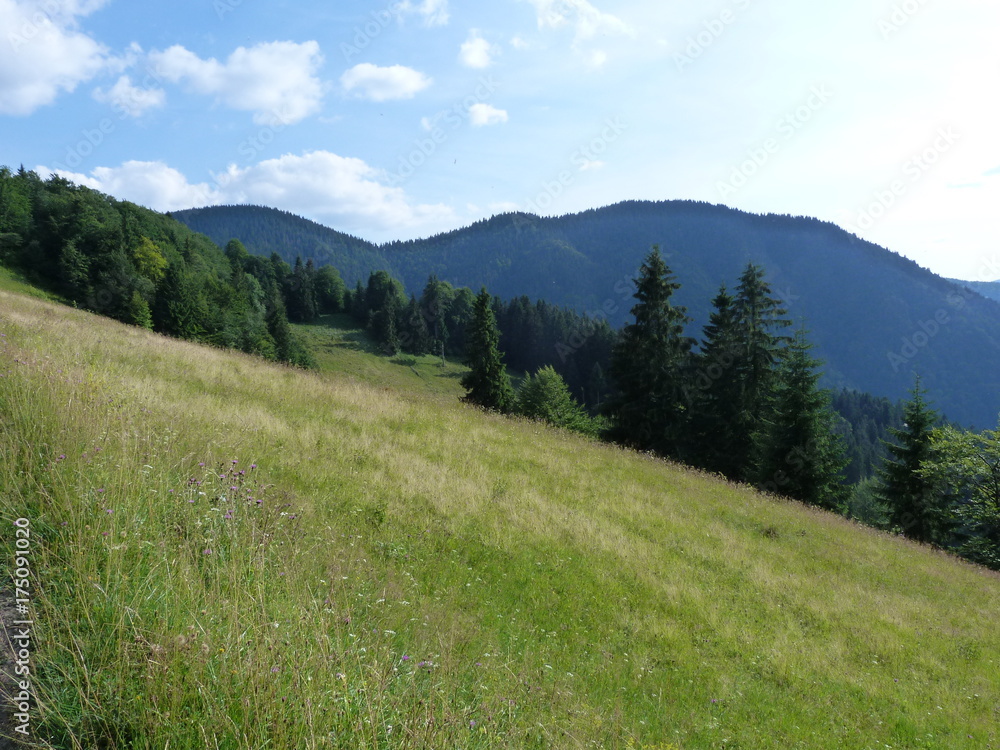 Ukrainian Carpathians, Marmaros Range. Ukrainian Carpathians, Marmaros Range.