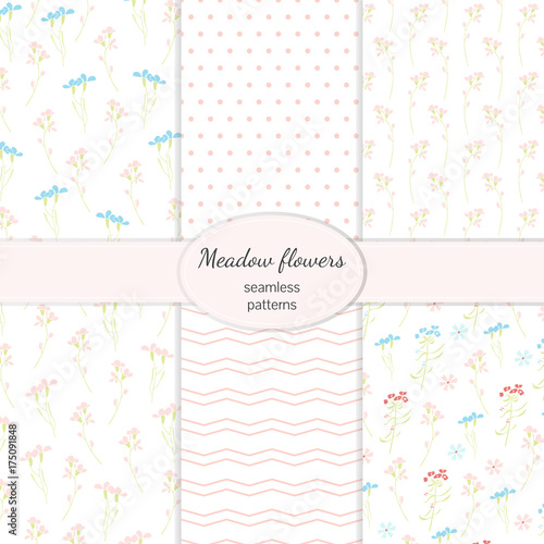 Meadow flowers collection of seamless vector patterns
