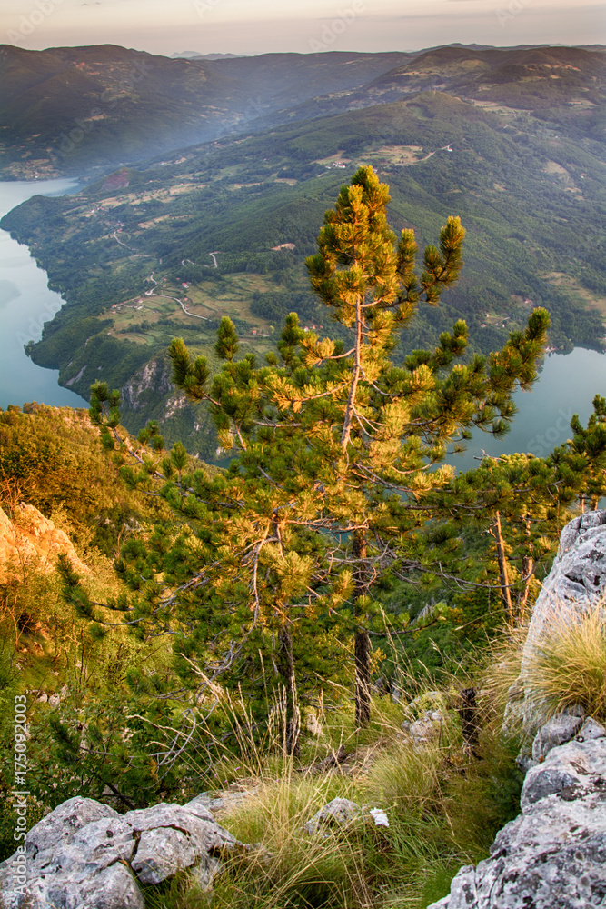 Naklejka premium View of the Banjska stena Tara mountain landscape with the sunrise