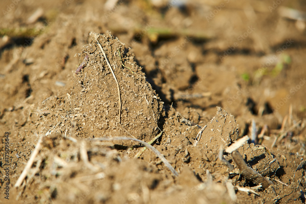 plough agriculture field before sowing plough agriculture field before sowing
