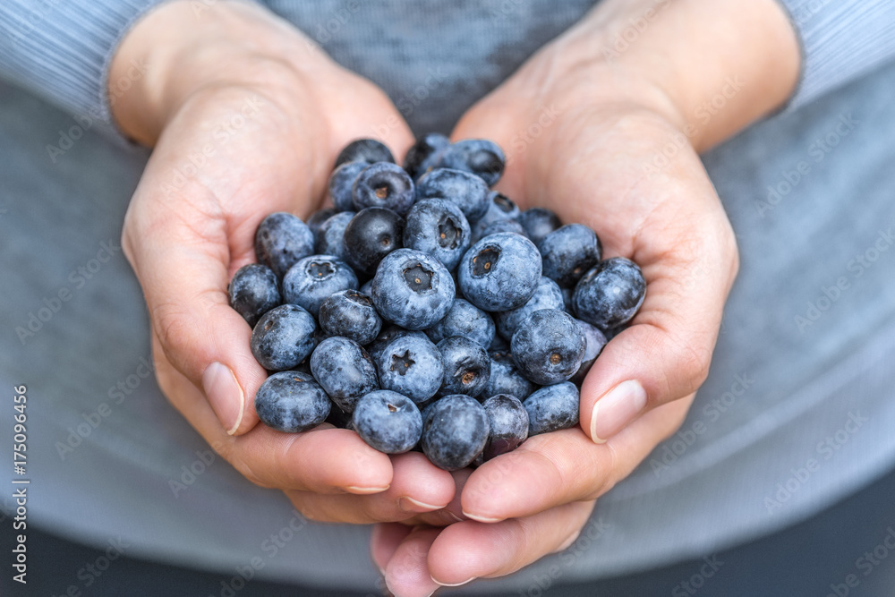 Blueberries blue berries fruits fresh presented in woman hands with soft vivid colors close up detailed macro. Concept for healthy vegan vegetarian lifestyle. Blueberries blue berries fruits fresh presented in woman hands with soft vivid colors close up detailed macro. Concept for healthy vegan vegetarian lifestyle.