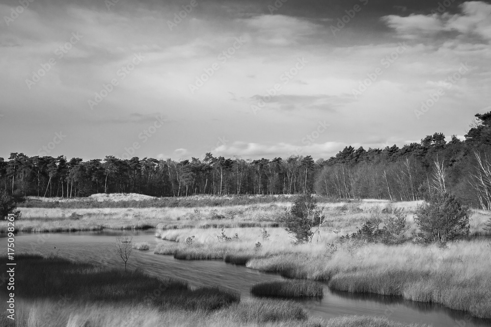 Fototapeta premium Winterlandschaft